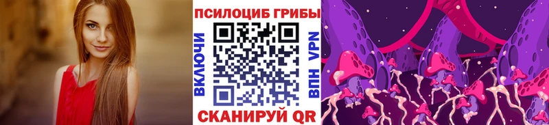 Галлюциногенные грибы прущие грибы  Сортавала 